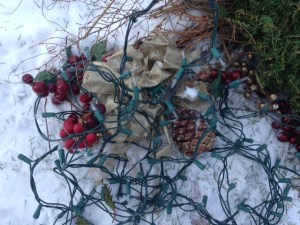 These will be stored in the crawl space for next year